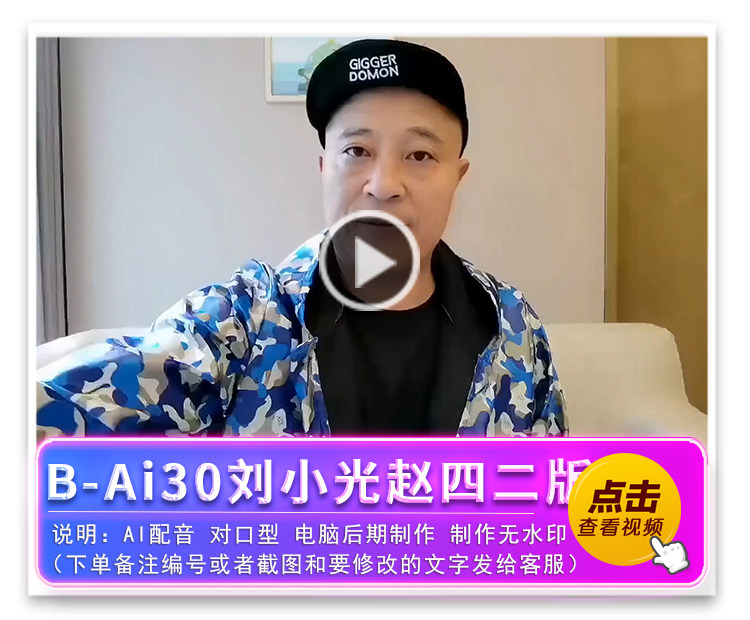 B-Ai30刘小光赵四二版